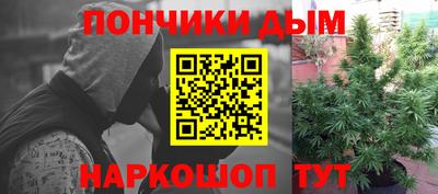 spice Беслан