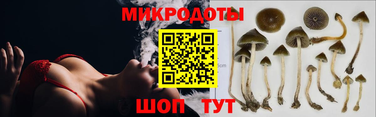 Иваново  Галлюциногенные грибы Magic Shrooms  Вход с VPN 