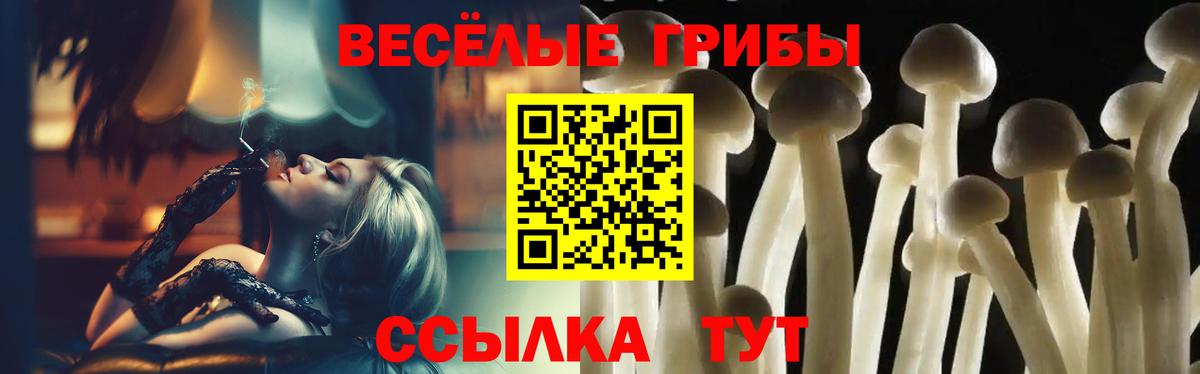 Псилоцибиновые грибы ЛСД Иваново